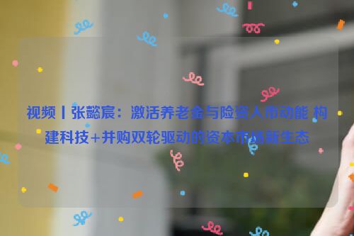 视频丨张懿宸：激活养老金与险资入市动能 构建科技+并购双轮驱动的资本市场新生态