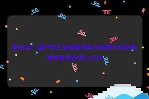 乘用车：国产自主品牌乘用车在欧洲市场的年销量有望达到315万台