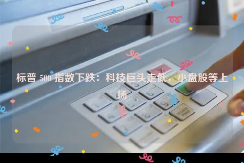 标普 500 指数下跌：科技巨头走低，小盘股等上扬