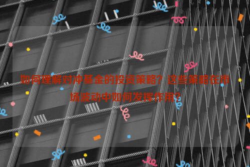 如何理解对冲基金的投资策略？这些策略在市场波动中如何发挥作用？