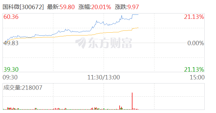 国家大基金持股概念午后活跃 国科微20cm涨停