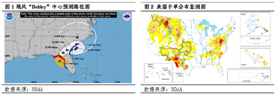 飓风“Debby”即将登陆美湾 美豆期货将进一步企稳 第3张