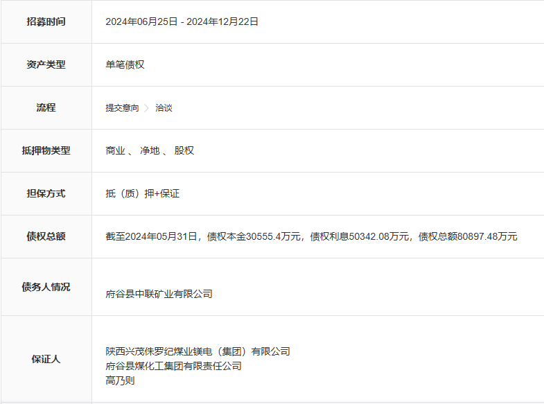 4.46亿元起拍！这个省“前首富”之子所持一煤矿股权将被拍卖 第6张