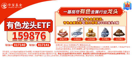 逆市涨超2%！有色龙头ETF（159876）霸居全市场ETF涨幅榜前十！铜、铝、黄金携手狂飙，紫金矿业涨逾4% 第3张