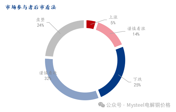 Mysteel调研：中国铜市情绪调研（2025.1.3） 第4张