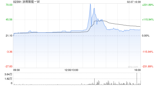 涂鸦智能-W：股价不寻常波动 业务营运维持正常 第1张